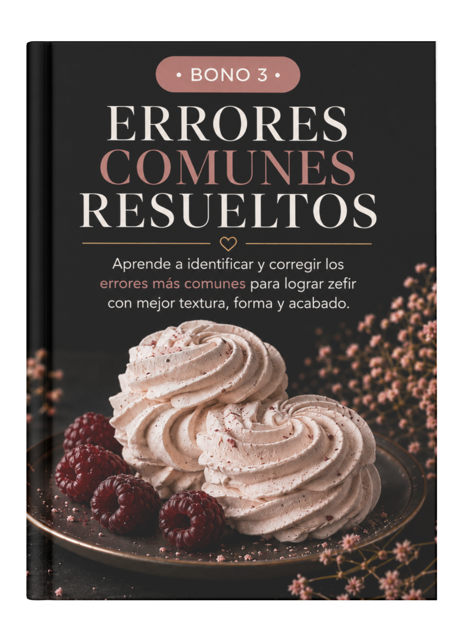 Bono 2: Errores comunes resueltos